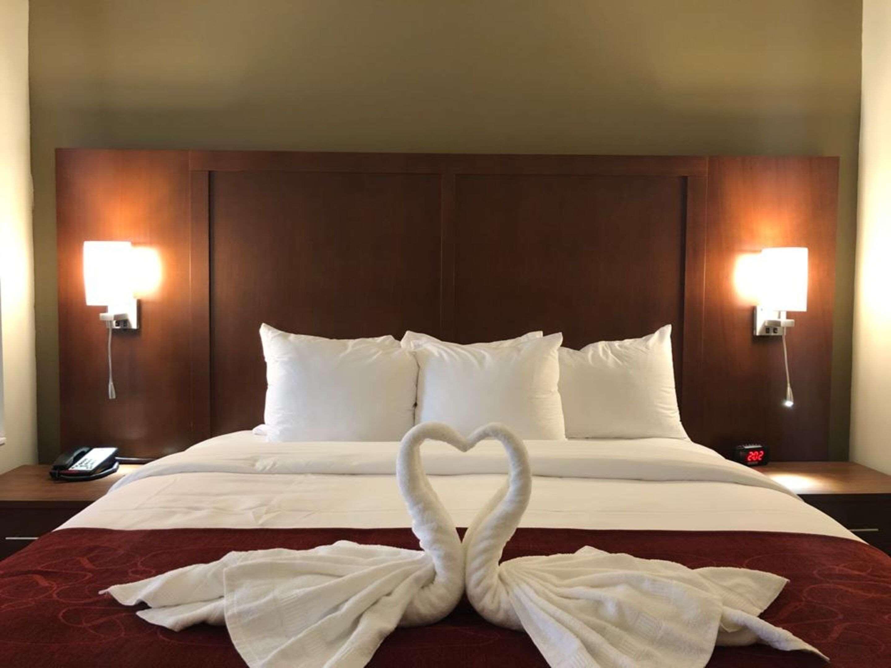 Comfort Suites Near Camp Lejeune ジャクソンビル エクステリア 写真