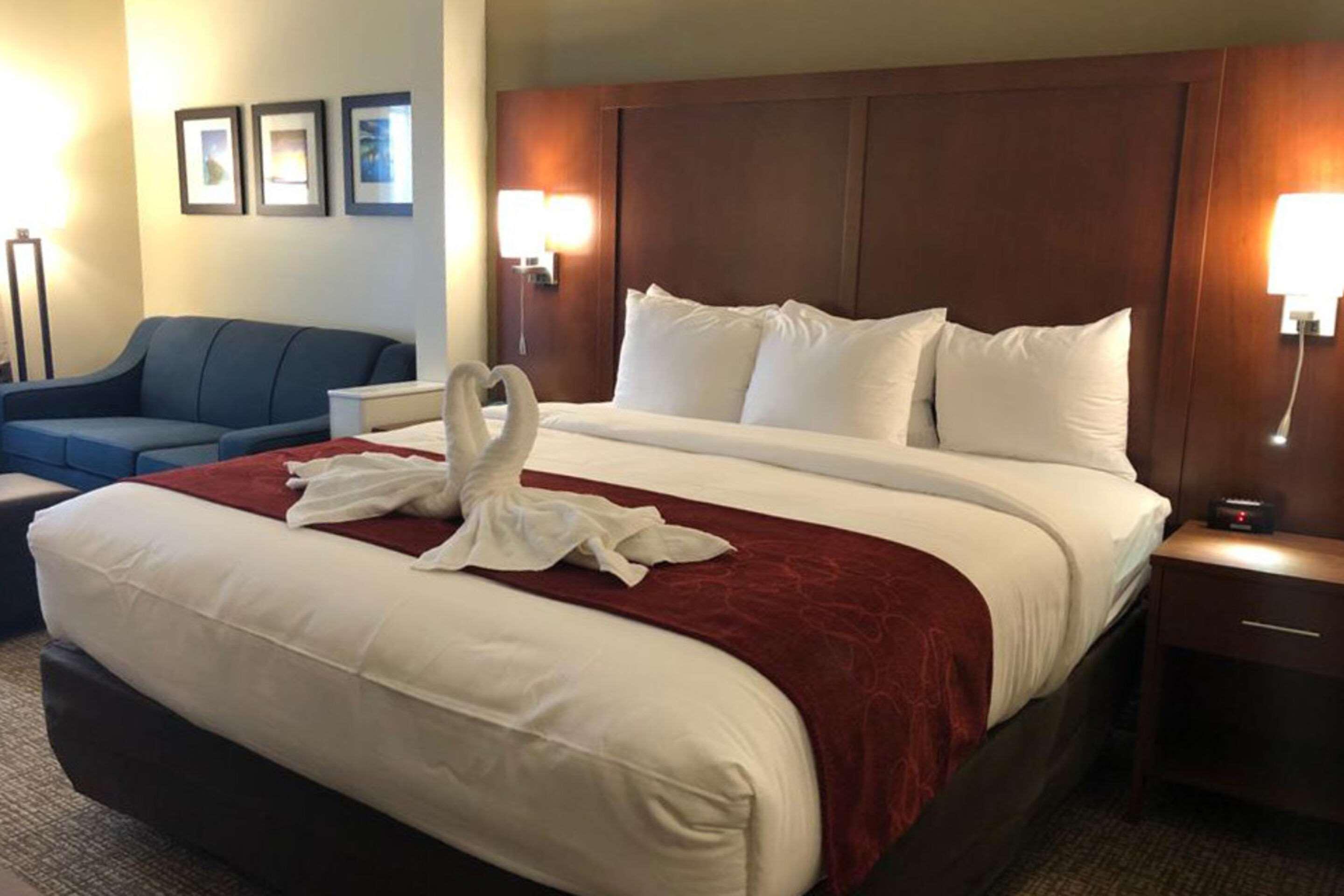 Comfort Suites Near Camp Lejeune ジャクソンビル エクステリア 写真