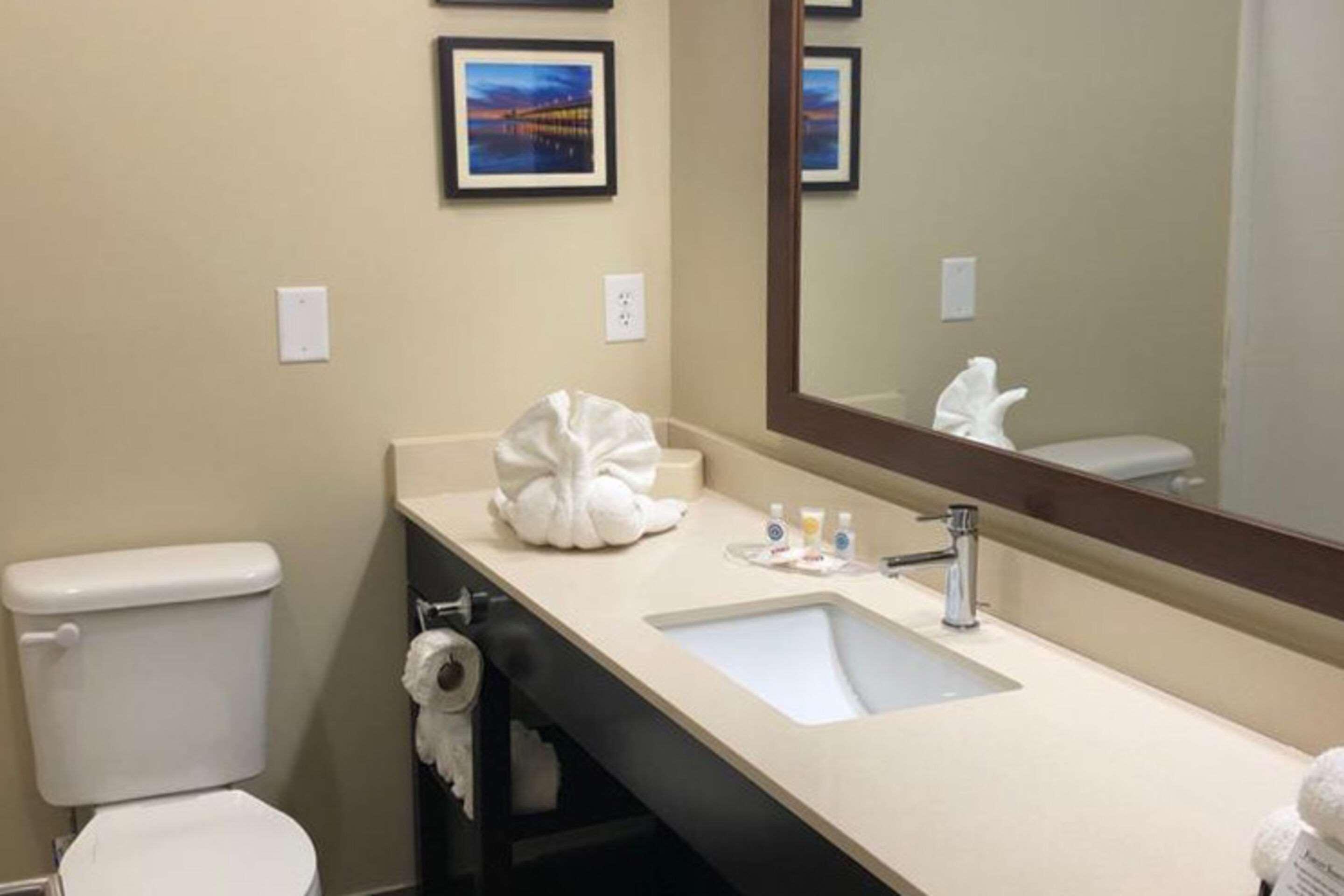 Comfort Suites Near Camp Lejeune ジャクソンビル エクステリア 写真